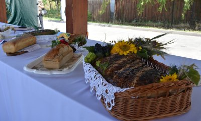 Okładka albumu: Dożynki Gminne 2025 w Wojsławicach